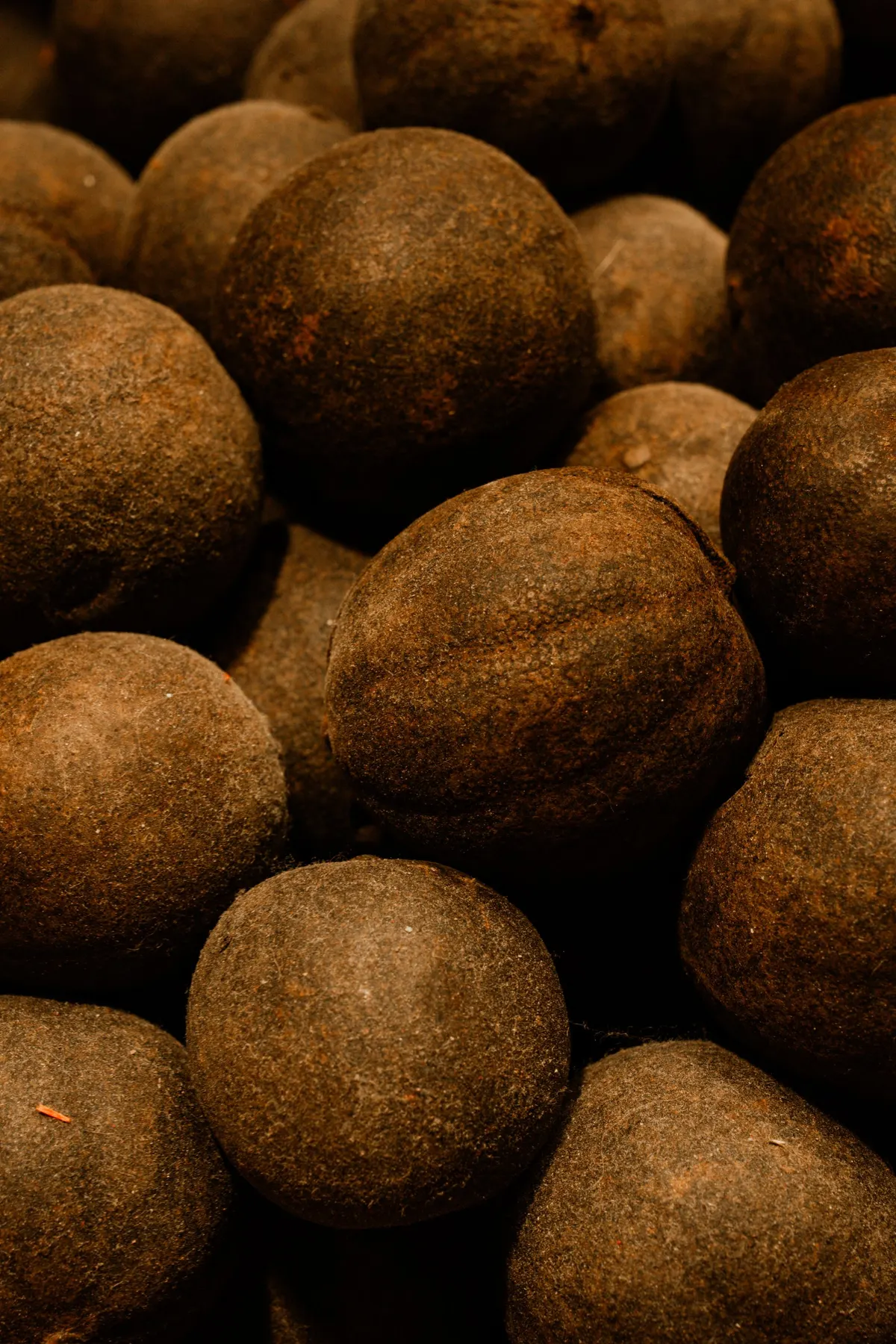 Black Dried Lime (Loomi)