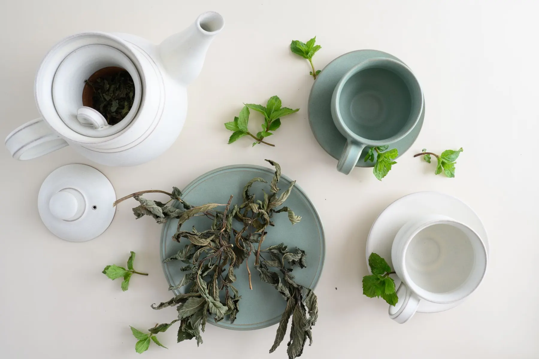 Spearmint